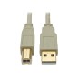 Eaton Usb 2.0 A To B Cable (M/M),